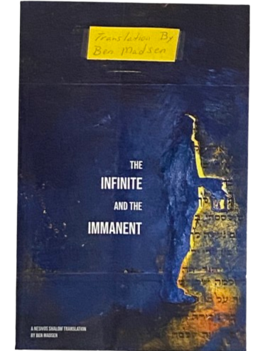 The Infinite and the Immanent